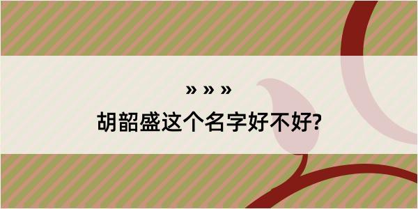 胡韶盛这个名字好不好?