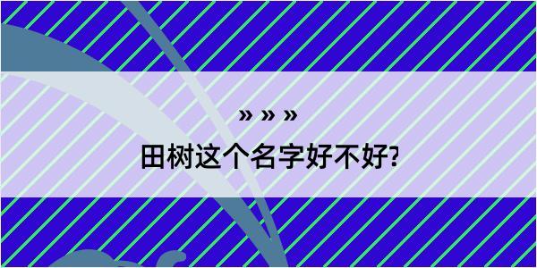 田树这个名字好不好?