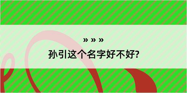 孙引这个名字好不好?