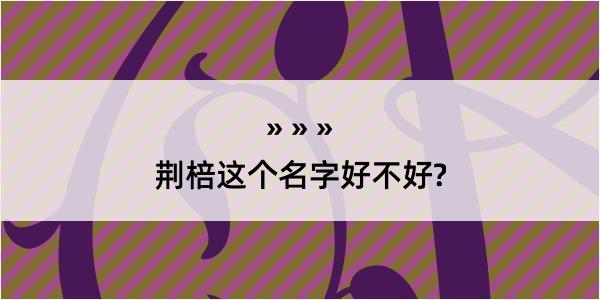 荆棓这个名字好不好?