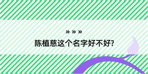 陈植慈这个名字好不好?