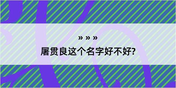 屠贯良这个名字好不好?