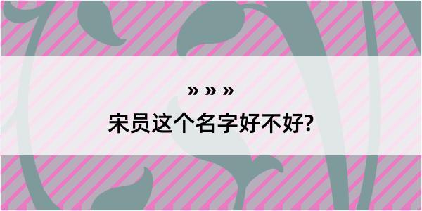 宋员这个名字好不好?