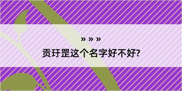 贡玗罡这个名字好不好?