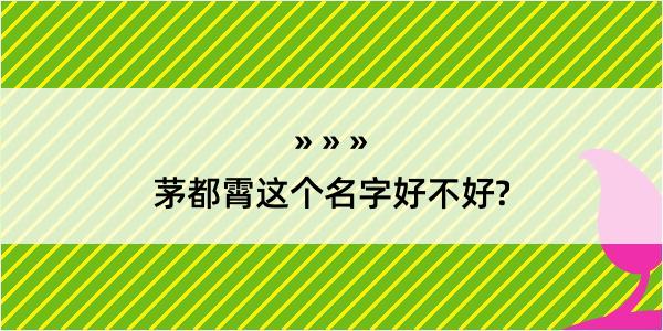 茅都霄这个名字好不好?