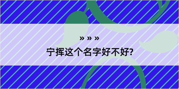 宁挥这个名字好不好?