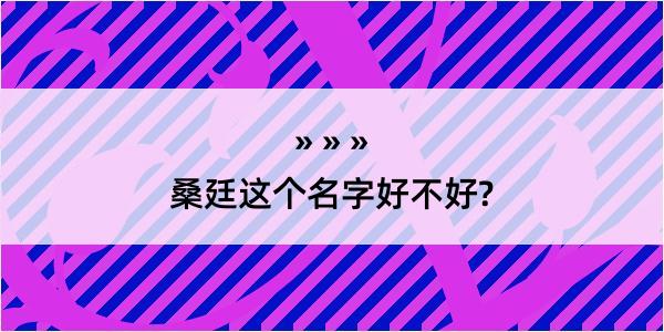 桑廷这个名字好不好?