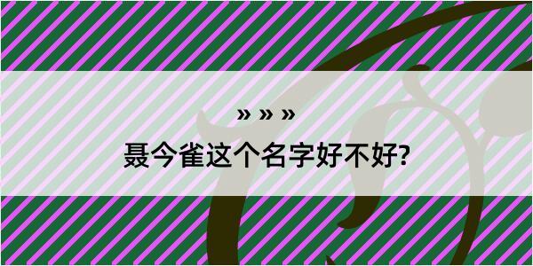 聂今雀这个名字好不好?