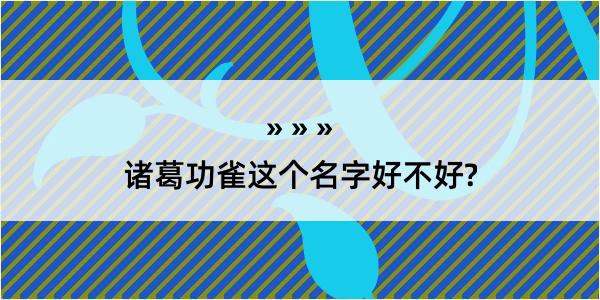 诸葛功雀这个名字好不好?