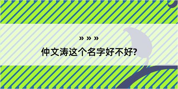 仲文涛这个名字好不好?