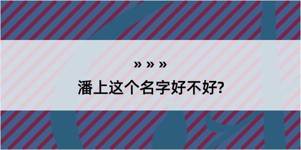 潘上这个名字好不好?