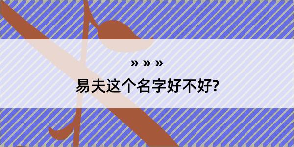 易夫这个名字好不好?