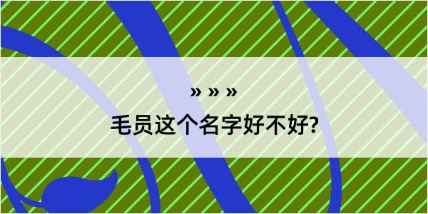 毛员这个名字好不好?