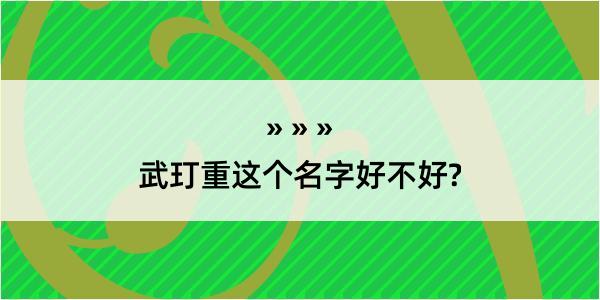 武玎重这个名字好不好?