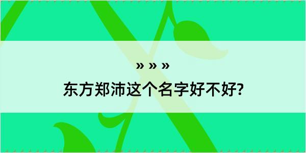 东方郑沛这个名字好不好?