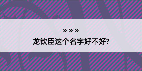 龙钦臣这个名字好不好?