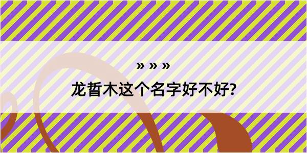 龙晢木这个名字好不好?