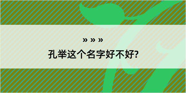 孔举这个名字好不好?