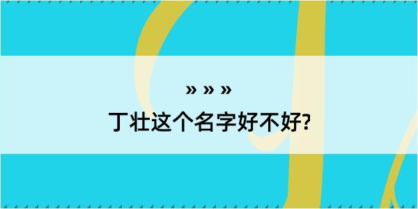 丁壮这个名字好不好?