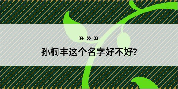 孙桐丰这个名字好不好?