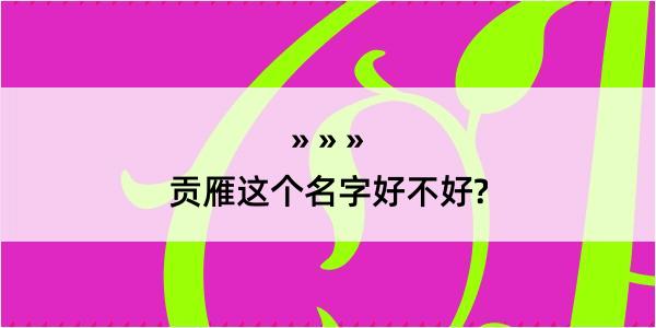 贡雁这个名字好不好?