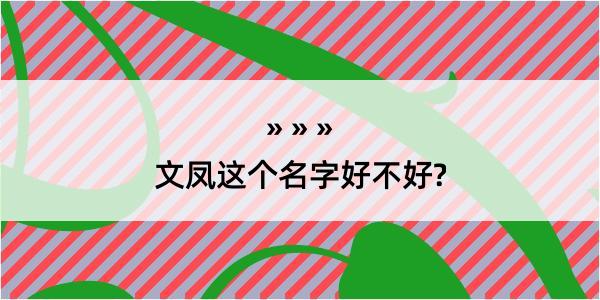 文凤这个名字好不好?