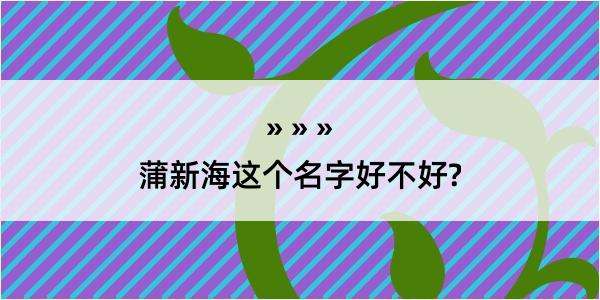 蒲新海这个名字好不好?