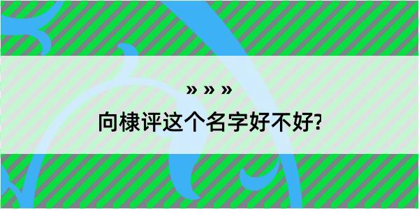 向棣评这个名字好不好?