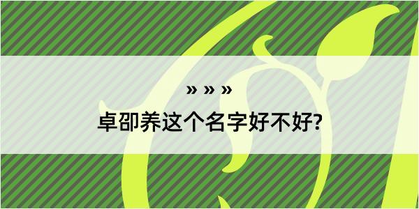 卓卲养这个名字好不好?