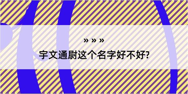 宇文通尉这个名字好不好?