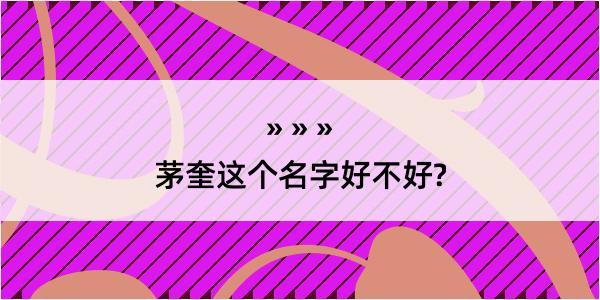 茅奎这个名字好不好?