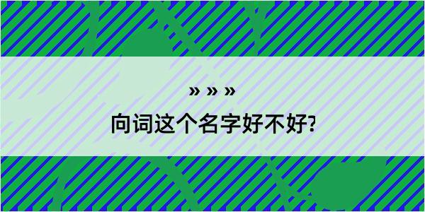 向词这个名字好不好?