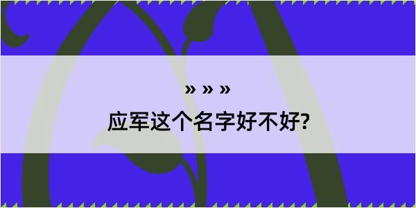 应军这个名字好不好?