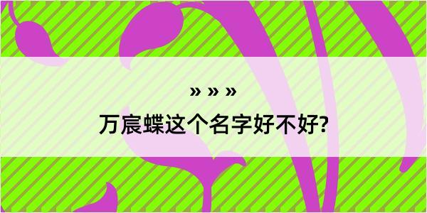 万宸蝶这个名字好不好?