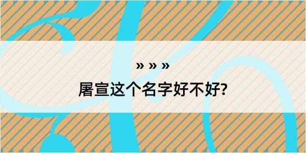 屠宣这个名字好不好?