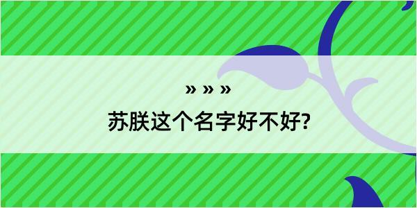 苏朕这个名字好不好?