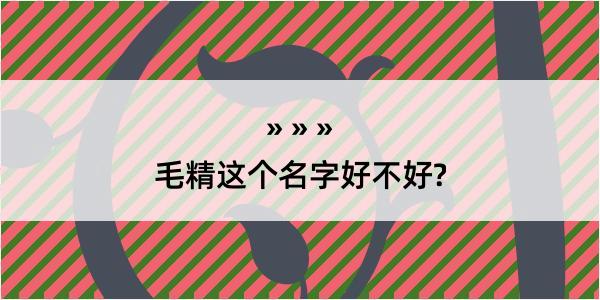 毛精这个名字好不好?