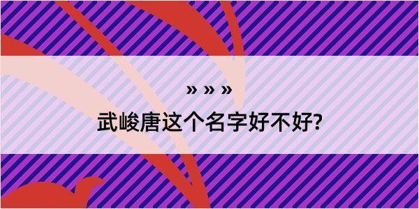 武峻唐这个名字好不好?