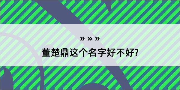 董楚鼎这个名字好不好?