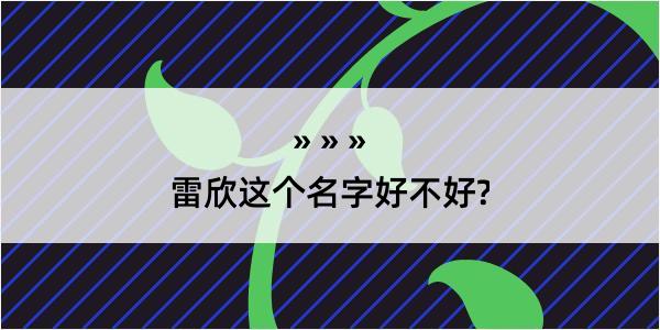 雷欣这个名字好不好?