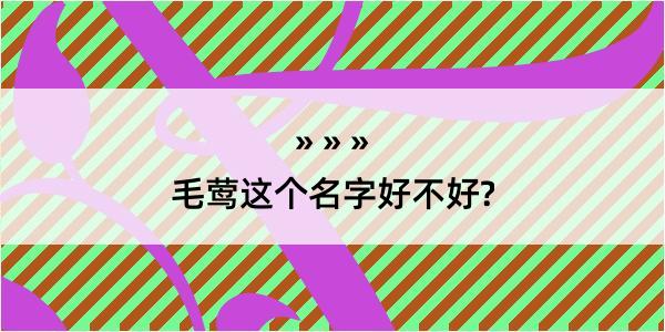 毛莺这个名字好不好?