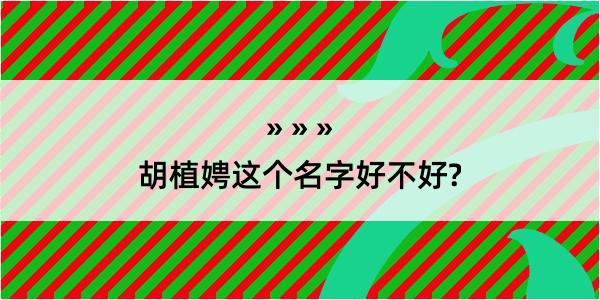 胡植娉这个名字好不好?