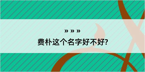 费朴这个名字好不好?