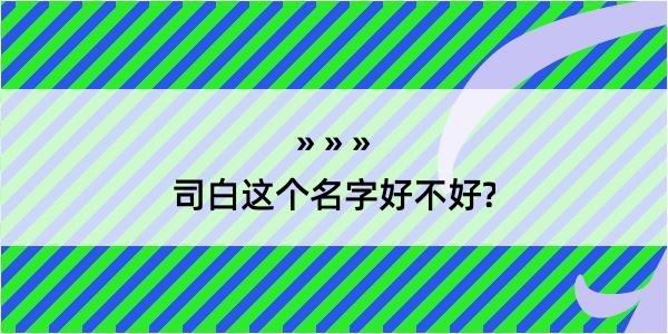 司白这个名字好不好?