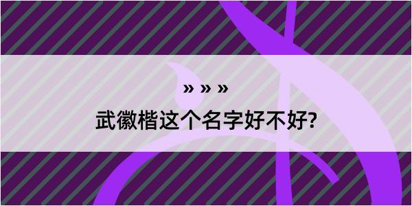 武徽楷这个名字好不好?