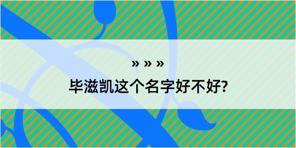 毕滋凯这个名字好不好?