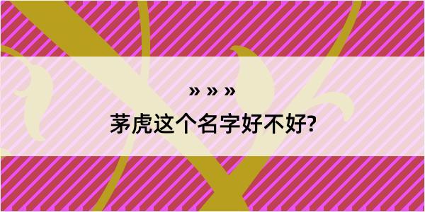 茅虎这个名字好不好?