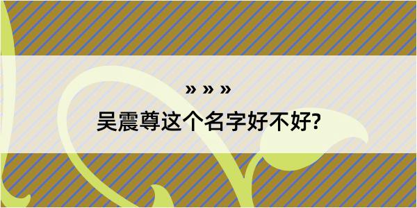 吴震尊这个名字好不好?