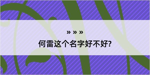 何雷这个名字好不好?