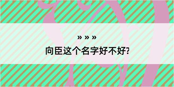 向臣这个名字好不好?